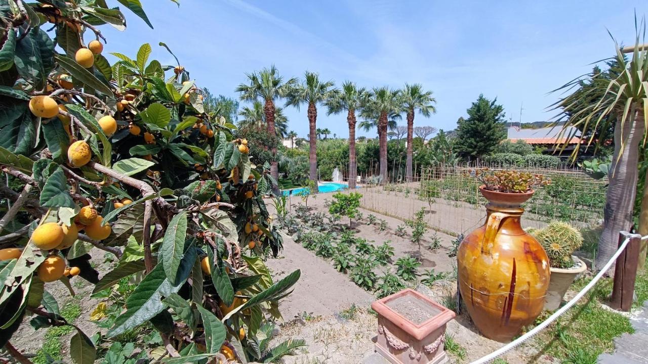Residence Villa Cristina Forio di Ischia Εξωτερικό φωτογραφία